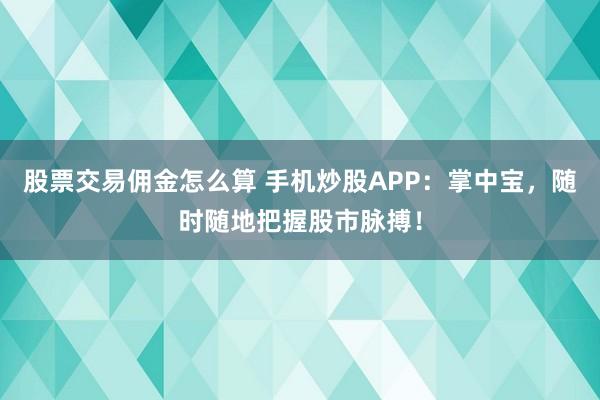 股票交易佣金怎么算 手机炒股APP：掌中宝，随时随地把握股市脉搏！