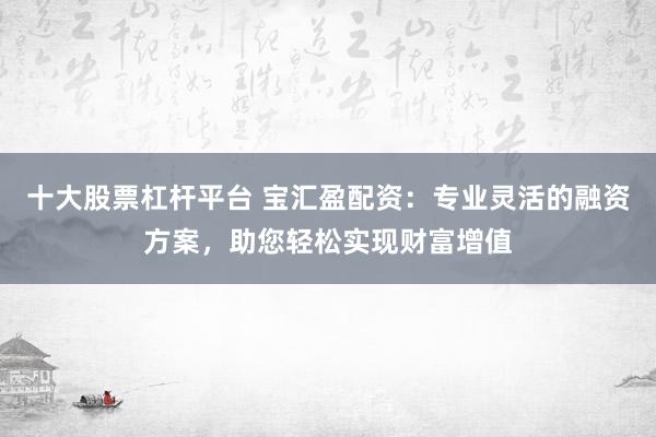 十大股票杠杆平台 宝汇盈配资：专业灵活的融资方案，助您轻松实现财富增值