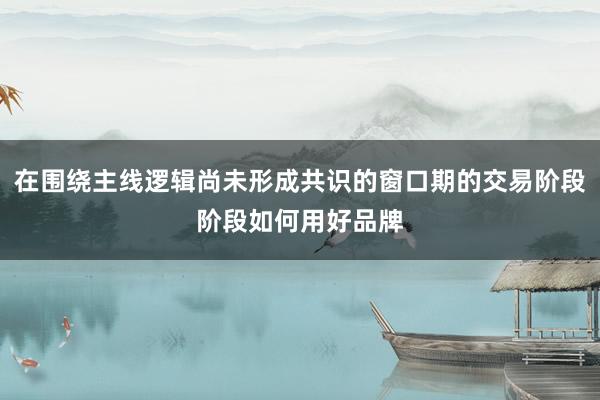 在围绕主线逻辑尚未形成共识的窗口期的交易阶段阶段如何用好品牌