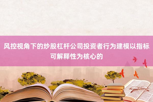 风控视角下的炒股杠杆公司投资者行为建模以指标可解释性为核心的