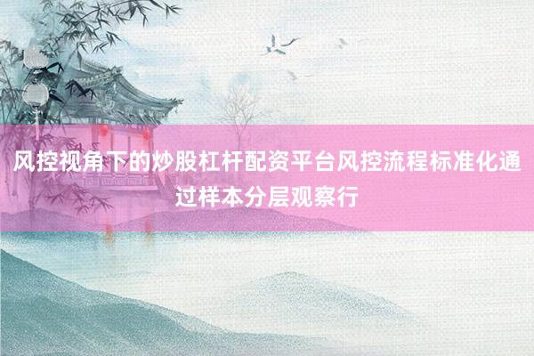 风控视角下的炒股杠杆配资平台风控流程标准化通过样本分层观察行